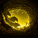 Illustration for article titled Myths Illuminated In Shadow Boxes Make Believers Of Us All